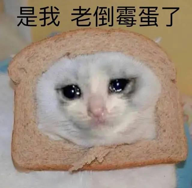 方脸短下巴眼距宽怎么办？改善面部比例的实用方法