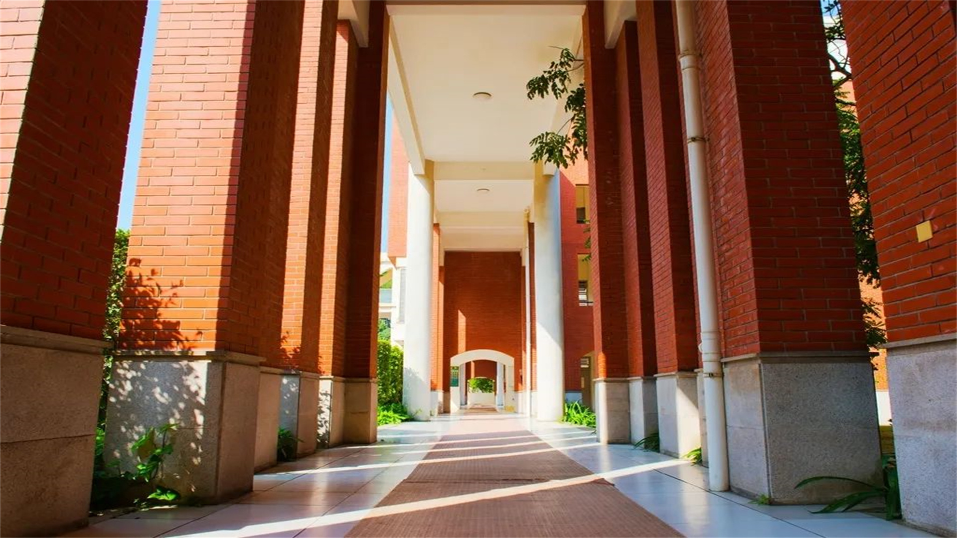 2021高考本科上线率公布！福建达60%，这3所“学霸”中学格外抢眼