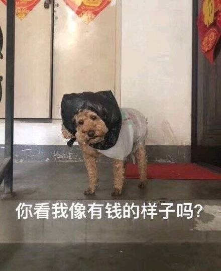 斗图表情包合集｜你在说俺老猪？