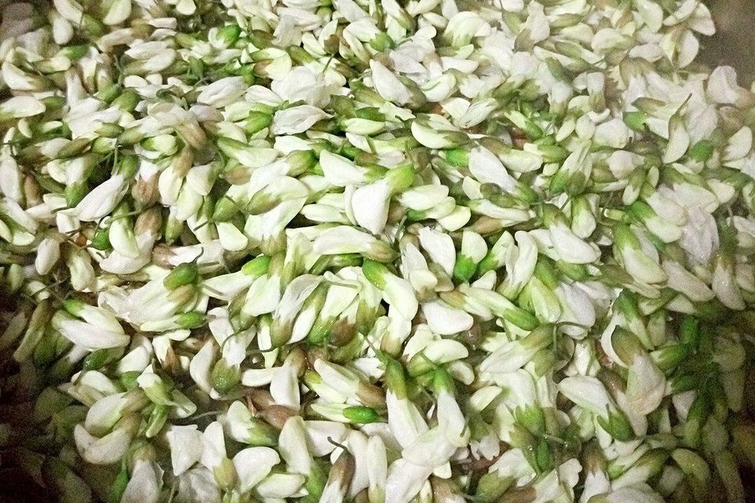 吃了30年槐花，才知道用这种方法就能保存起来，放一整年都不会坏