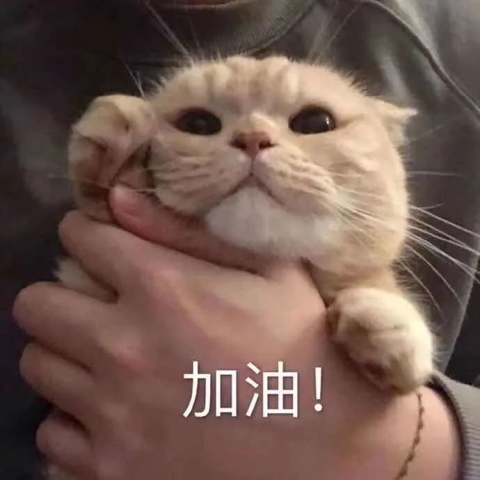 这一个池塘里的所有鱼，我都承包了