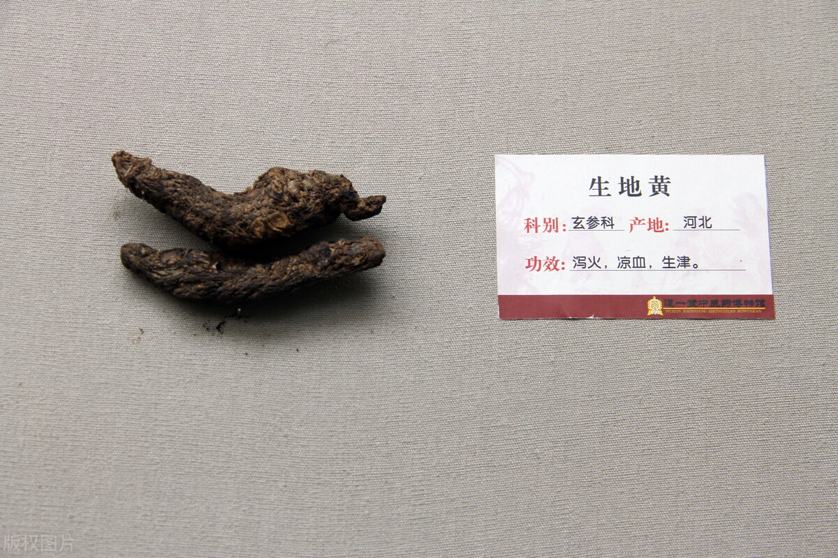 生地黄和熟地黄的区别（关于地黄的小知识）