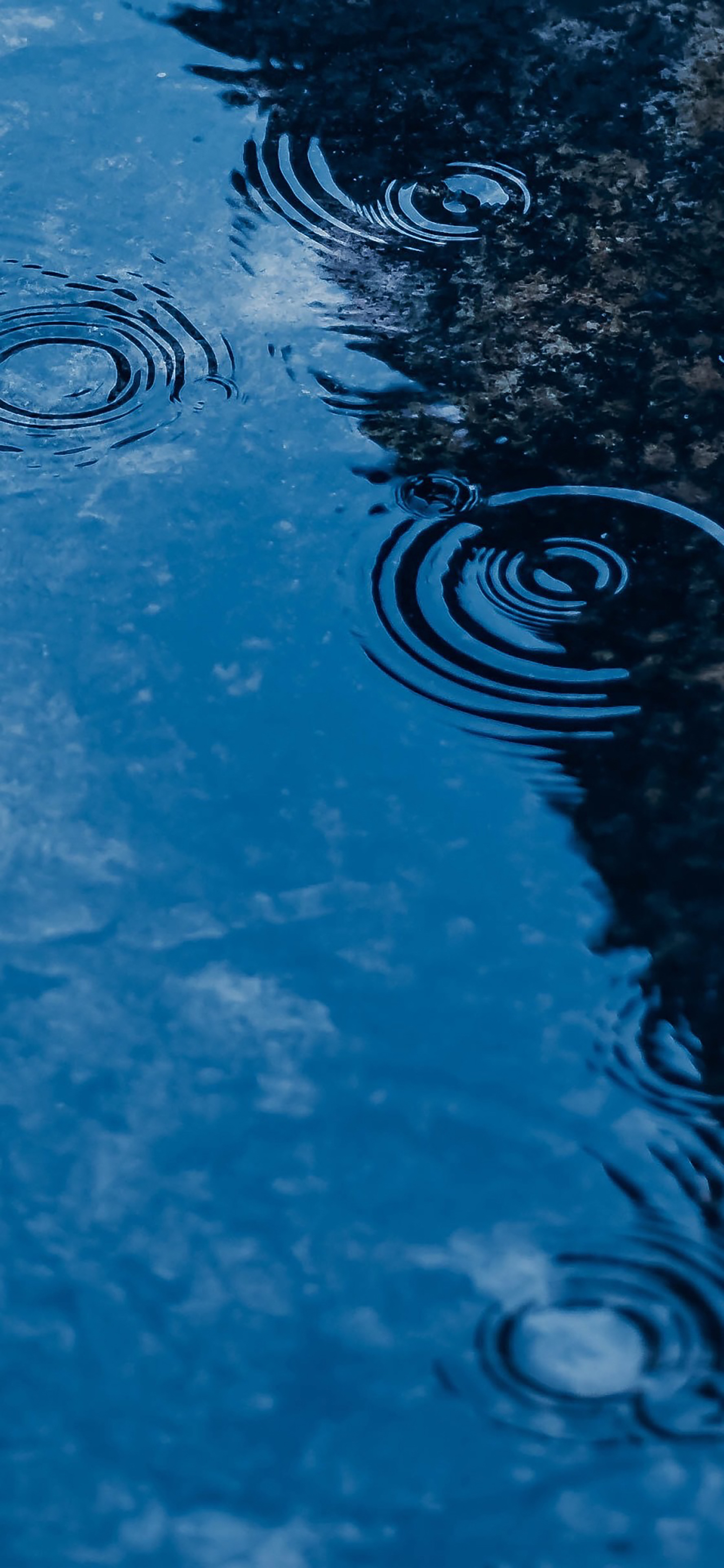 壁纸推荐：雨不停的下，心中渐清凉