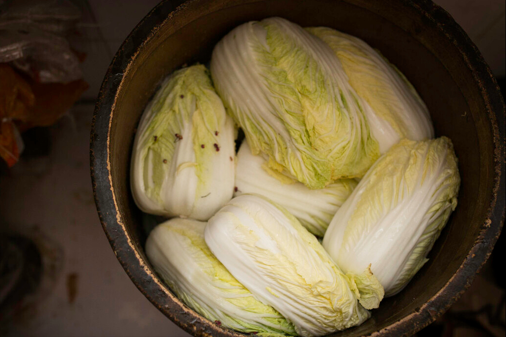 东北大娘教你腌酸菜,牢记2个要点,味道正宗不易烂,酸香爽脆