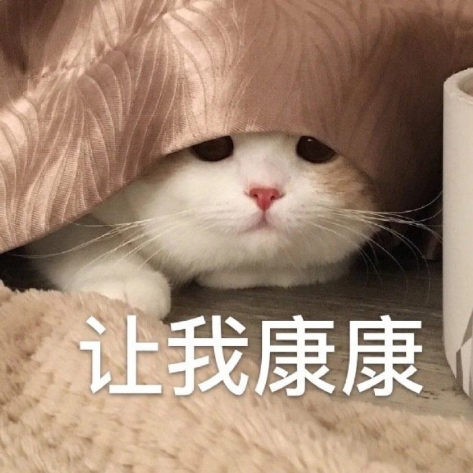 猫咪表情包合集｜看着我的双下巴再说一遍