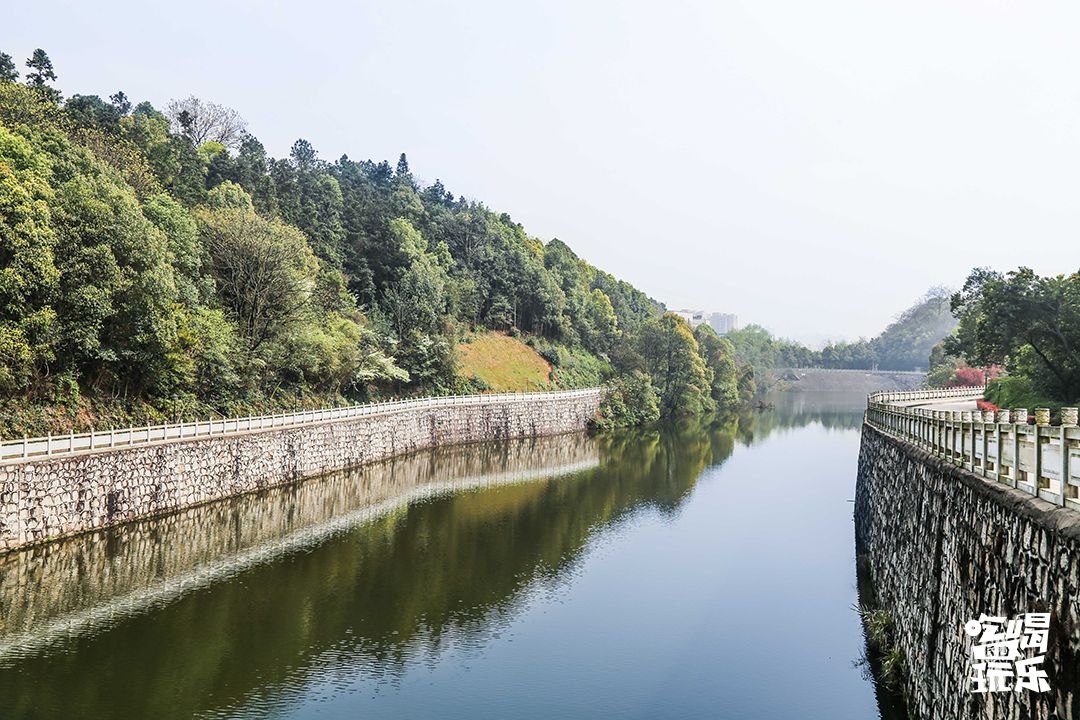 长大，不说再见！