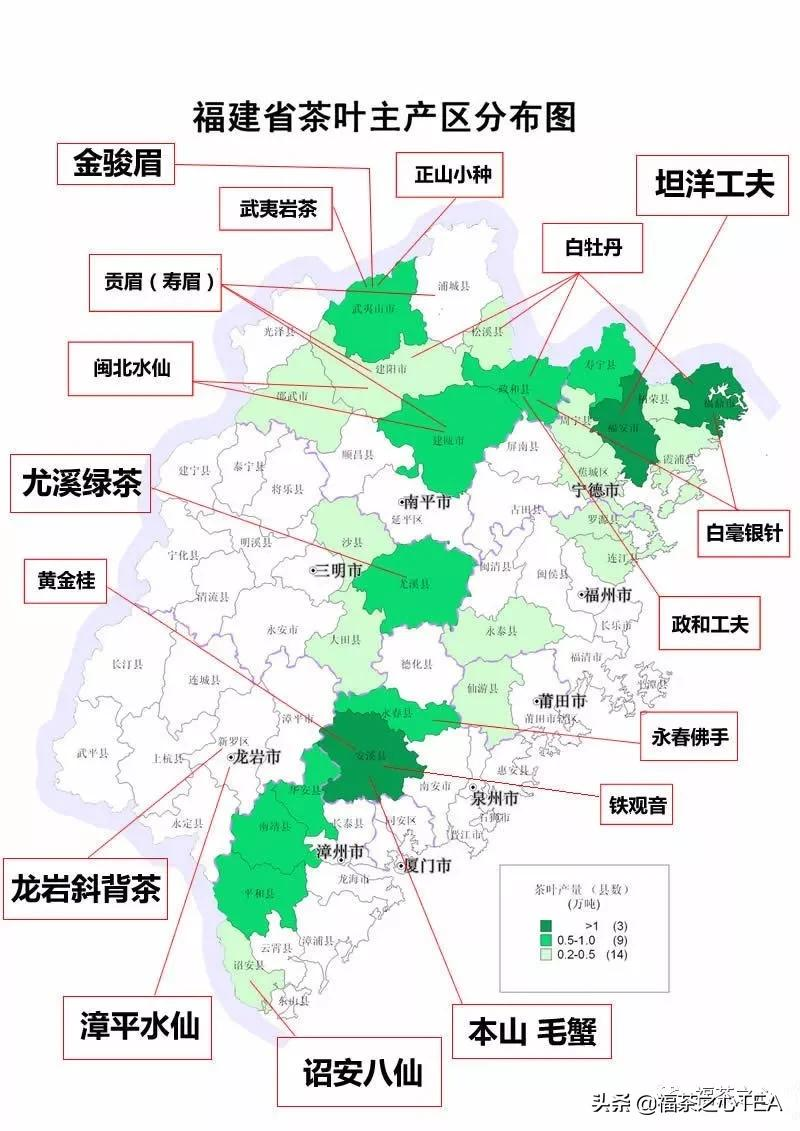 建议收藏:福建茶叶大汇总,了解福建全部茶叶看这一篇就够了
