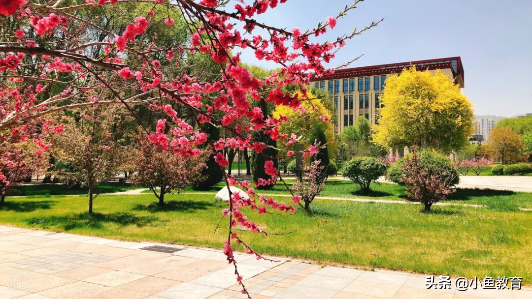 23个省中，2020年省内排名前3的大学！青海篇