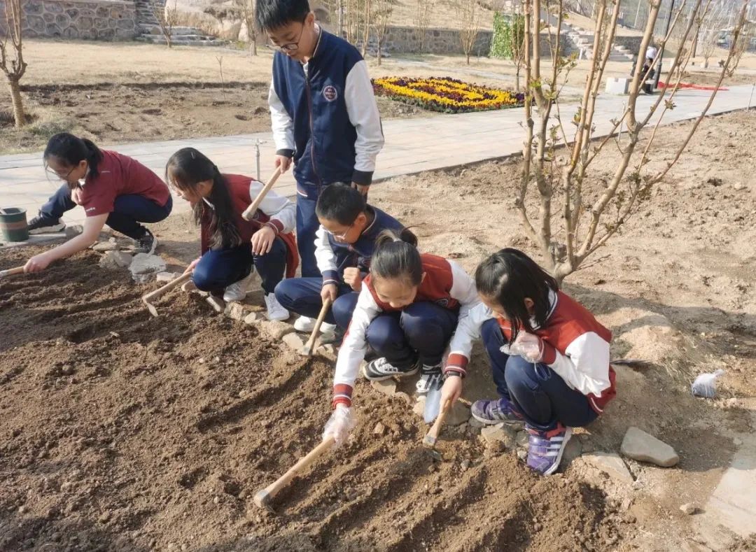 京郊这所学校，真真了不得