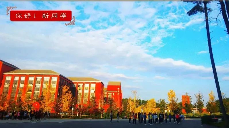 @2020级小萌新 收下这份入学指南，报到注册全程无忧！