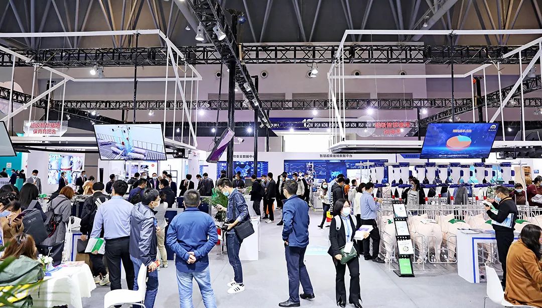 猪价重回7元时代，行业面临四大风险！智慧养猪大势所趋