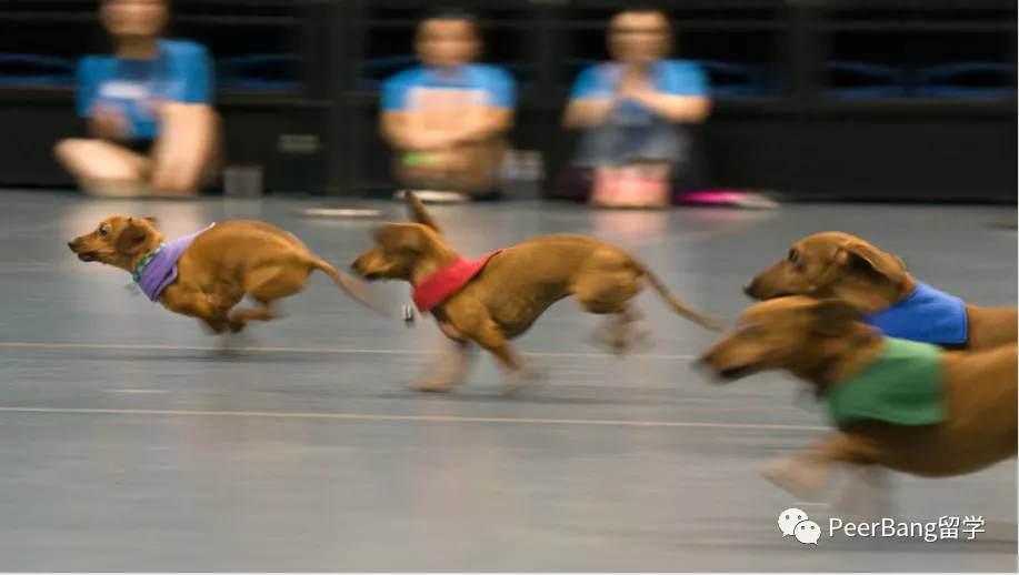 美国前40里，录取率最友好的UC大学是哪所？