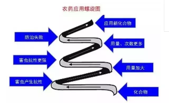 为什么草莓叶片发黑、发红？找准原因，再对症下药