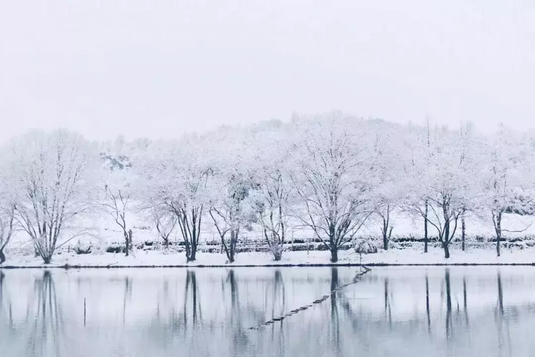 大雪纷飞，孩子们写下的诗句，美好到让人惊艳