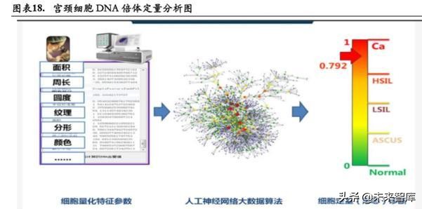 宫颈癌早筛专题报告：细胞学检测 AI与HPV检测是未来趋势