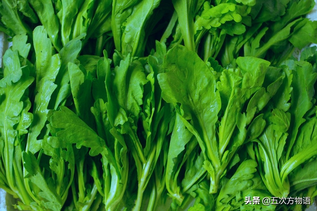 茼蒿属有三个活跃在菜市场的物种:南茼蒿,茼蒿和蒿子杆.