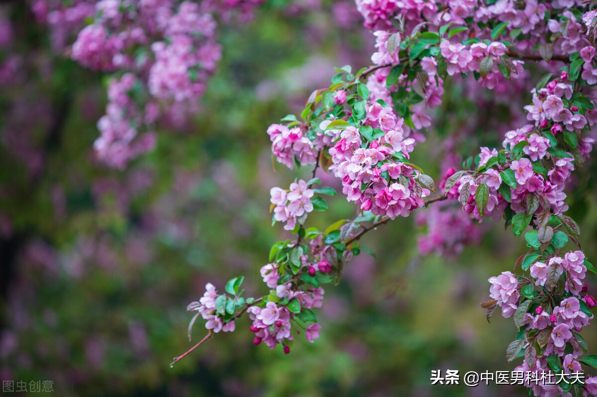 畏寒怕冷，脚心出汗，经常干呕型肾虚，中医如何调理？