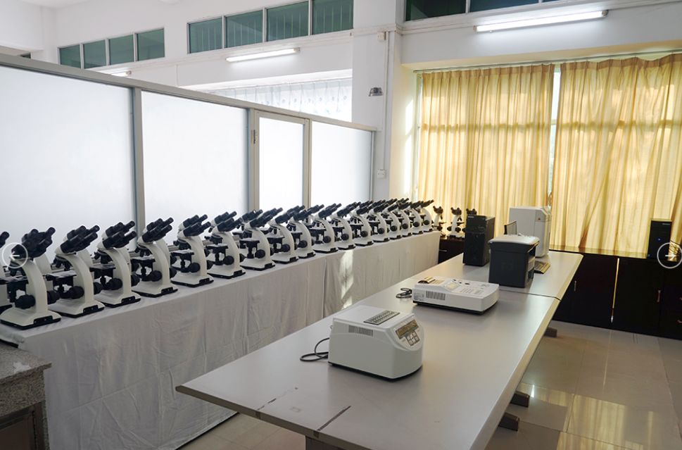 2020年3+证书最低录取167分，广东江门中医药职业学院介绍