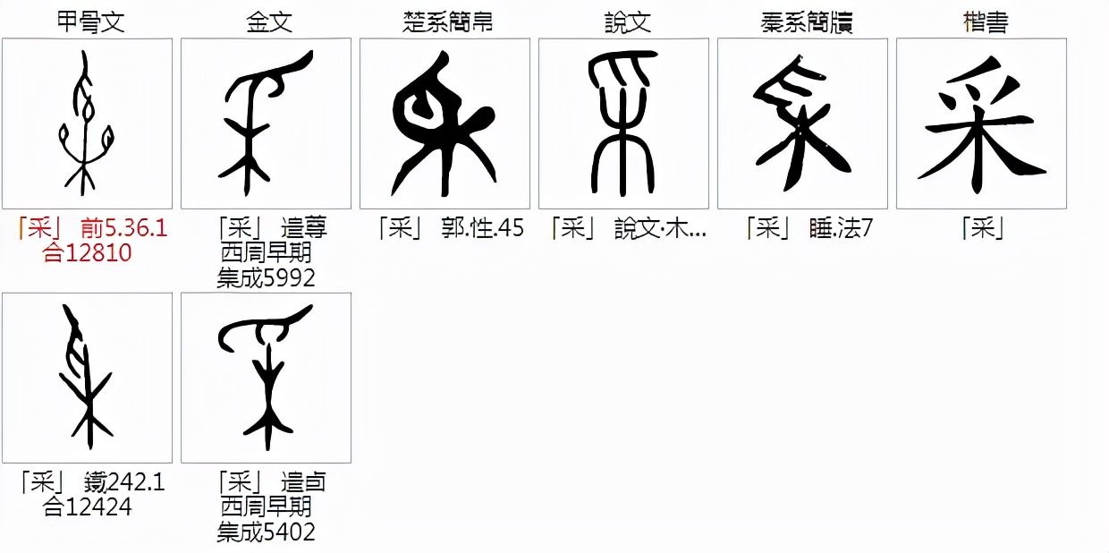 爪zhua跟爪zhao的区别 爪印读音读zhao还是zhua - 汽车时代网