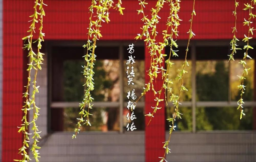 神仙颜值！北京语言大学“最美校花”高清大图来袭，总有一款你喜欢！