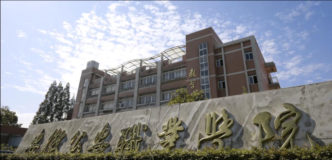 安徽好的专科学校（安徽一高职院校录取最低分570）