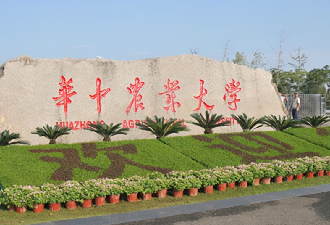 华中农大食堂菜价引众怒,一斤梅菜扣肉125,大学生:太贵吃不起