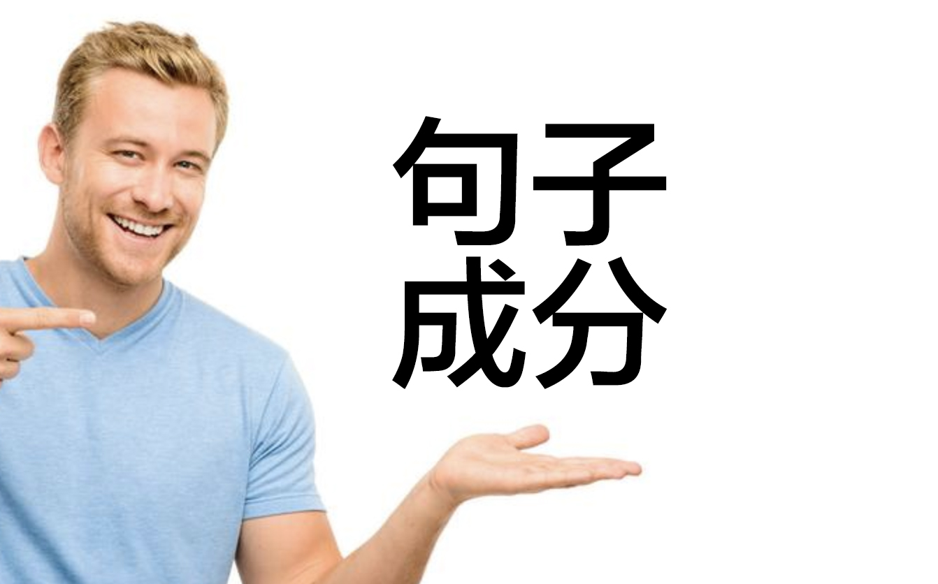 英语语法基础：掌握主谓宾结构的句子构建