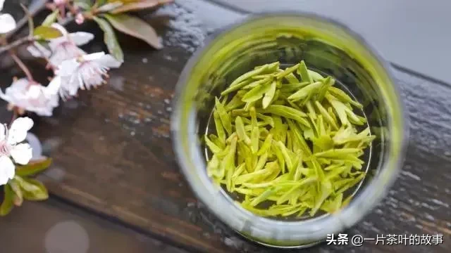 中国十大名茶，最全泡法！（建议收藏）