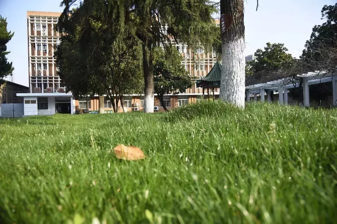 【热点】六月，你毕业于江北新区