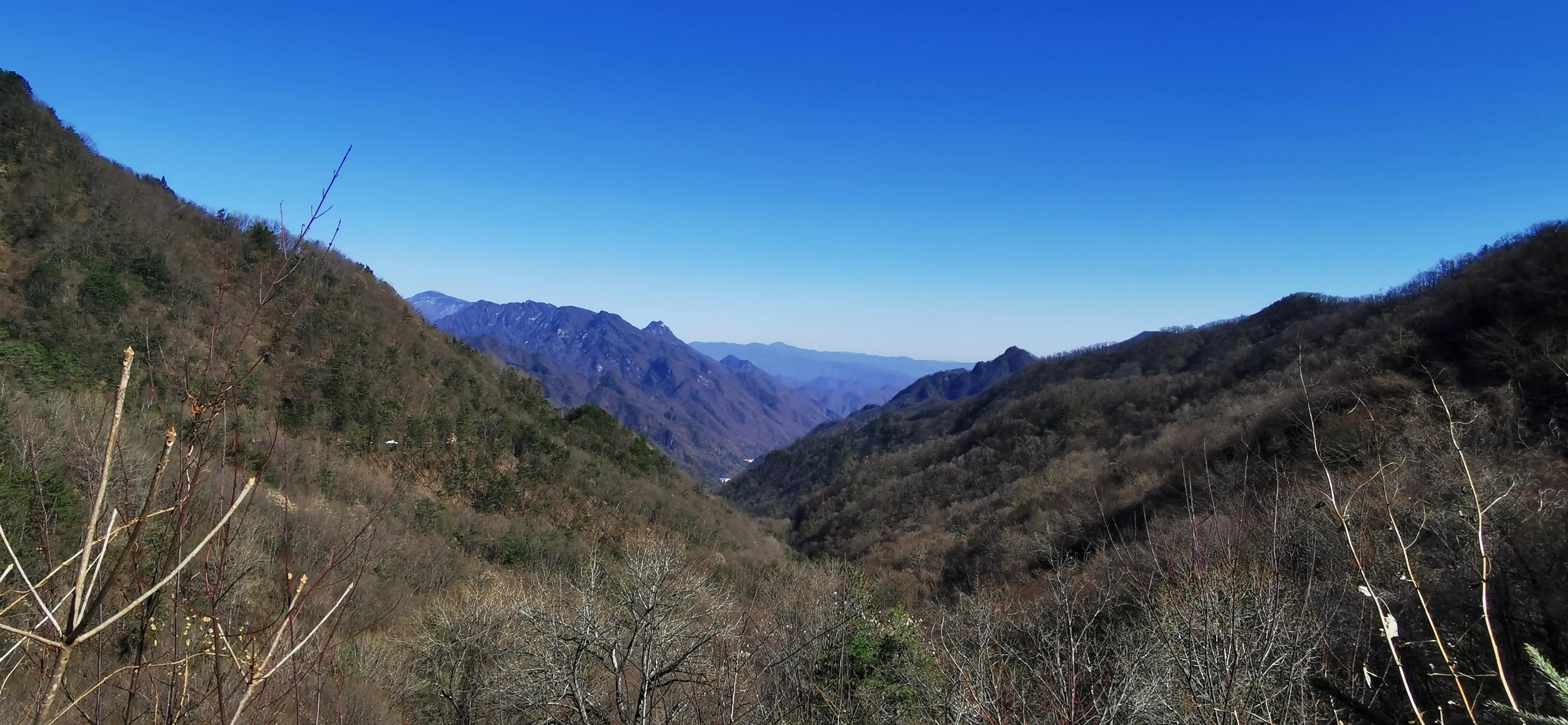 冬遊秦嶺山