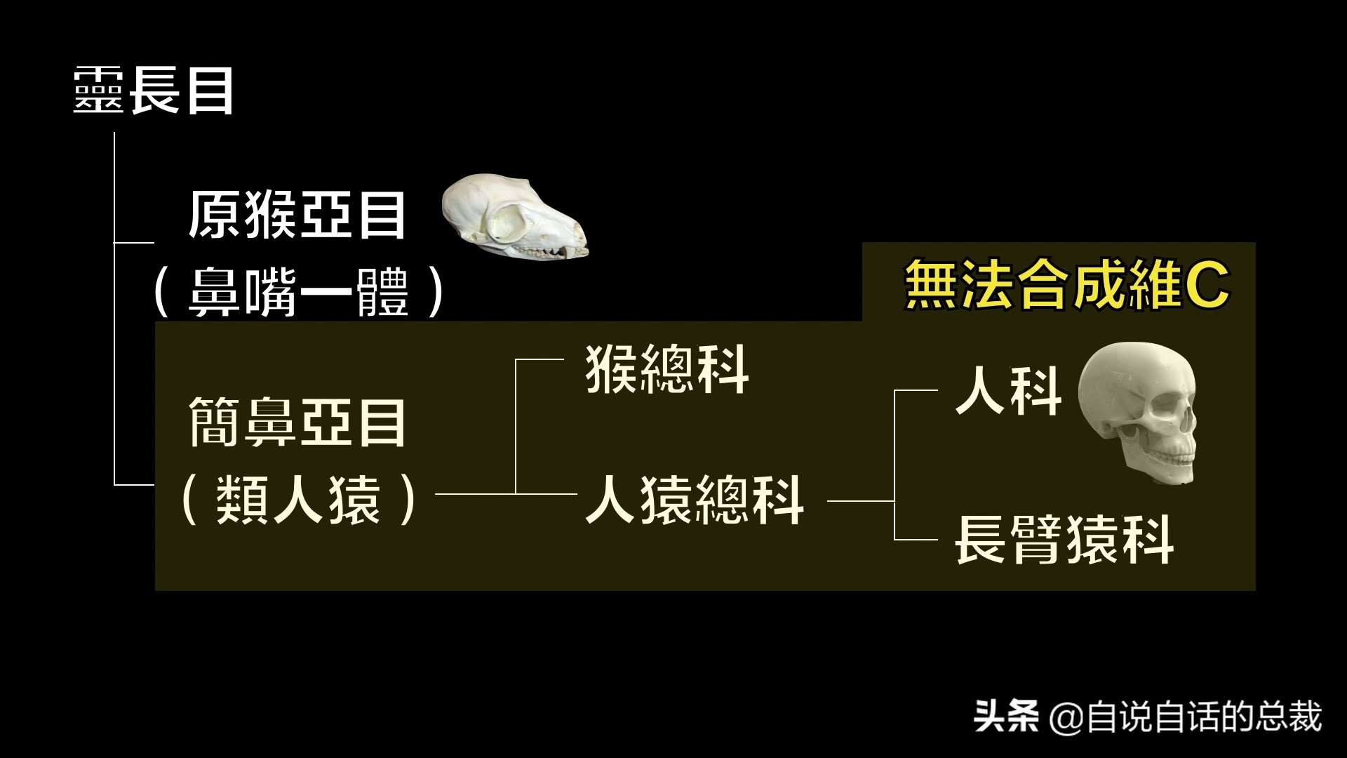 全世界的柠檬都读Lemon？这背后有一个刻在8号染色体上的上古故事