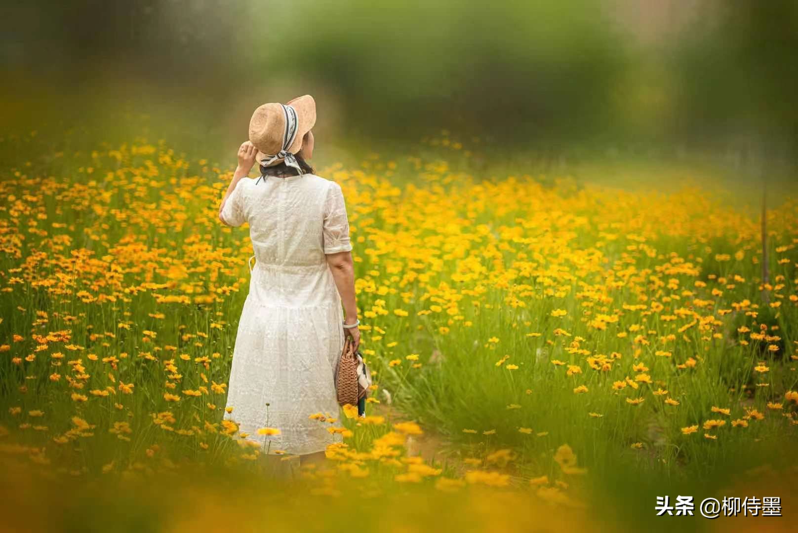 侍墨姑娘给您分享的25个拍照姿势,您都学会了吗?