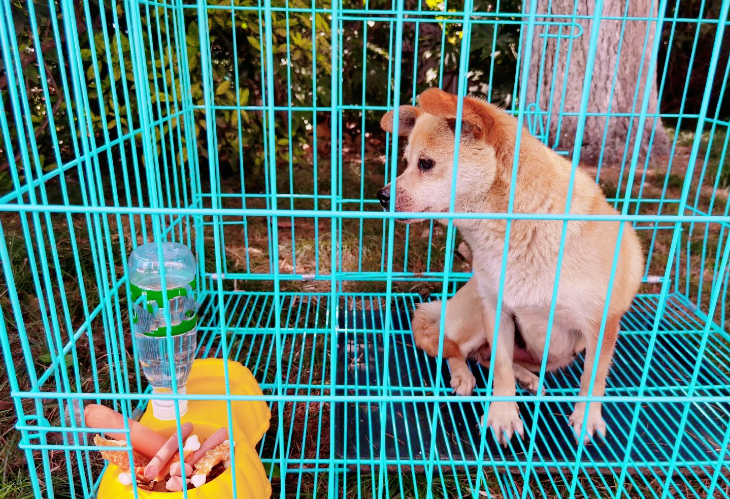 江苏这所中学厉害了，每年都有考上清北的人，手里还有“王牌”