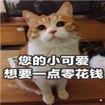 猫咪表情包：什么，你要帮我清空购物车