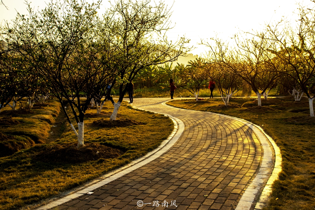 广州几乎不会下雪，却有一座香雪公园，春节前总是游人如织