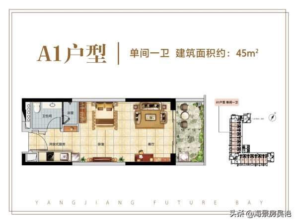 广东阳江阳西富力湾是哪个开发商开发的？值得投资吗？