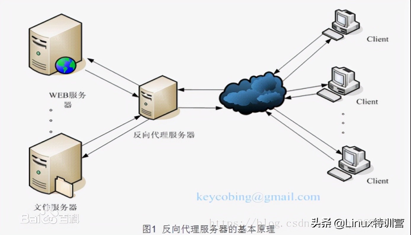 nginx反向代理配置（nginx反向代理配置去除前缀）