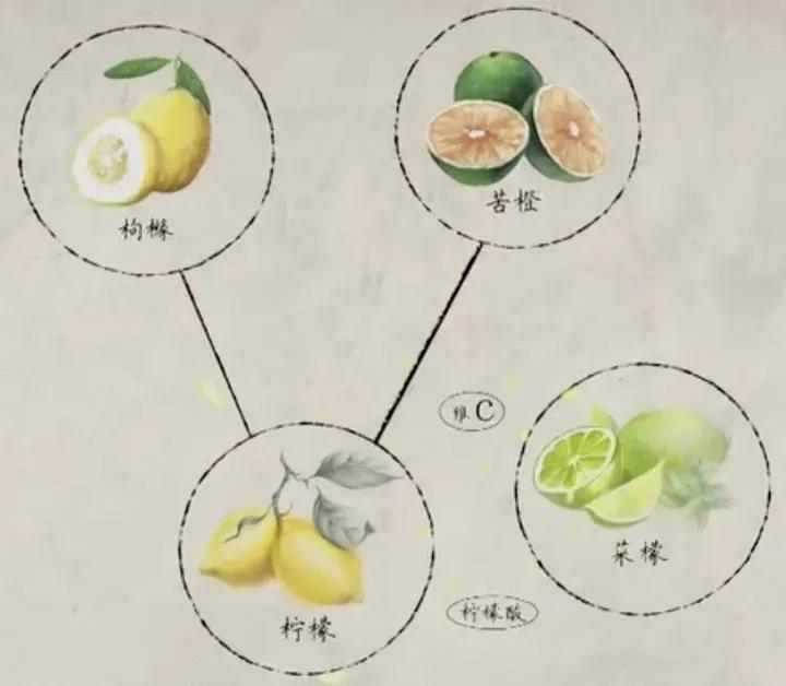 水果冷知识！看看你知道几个？