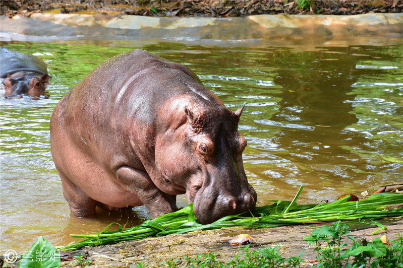 三天三夜欢乐长隆之旅（附攻略）