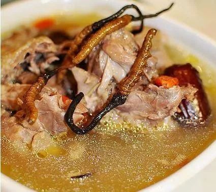 冬季进补，来年打虎！想要用冬虫夏草补身子，这么吃才正确