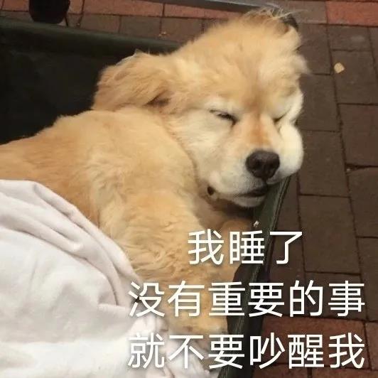 沙雕表情：挺住，马上就周末了