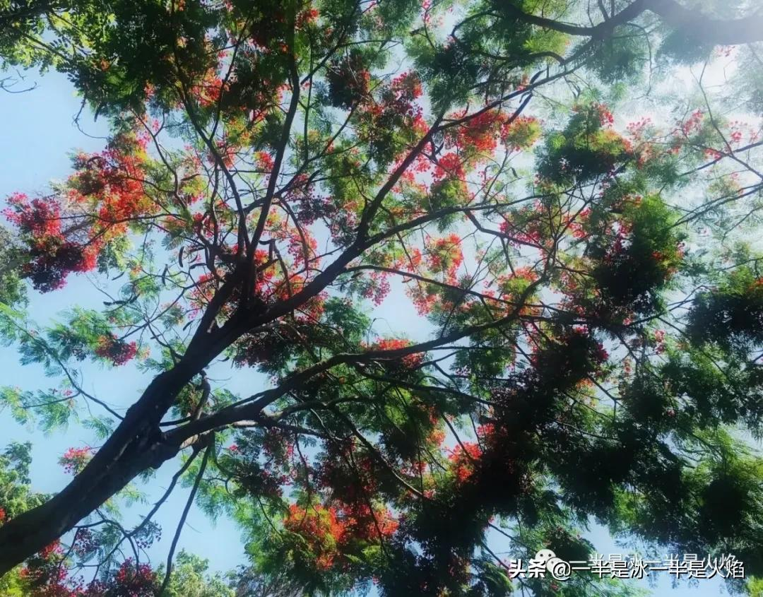 散文诗:秋日私语(三章)