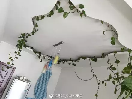 装修没到位,亲人两行泪!记录那些年被爸妈装修支配的恐惧