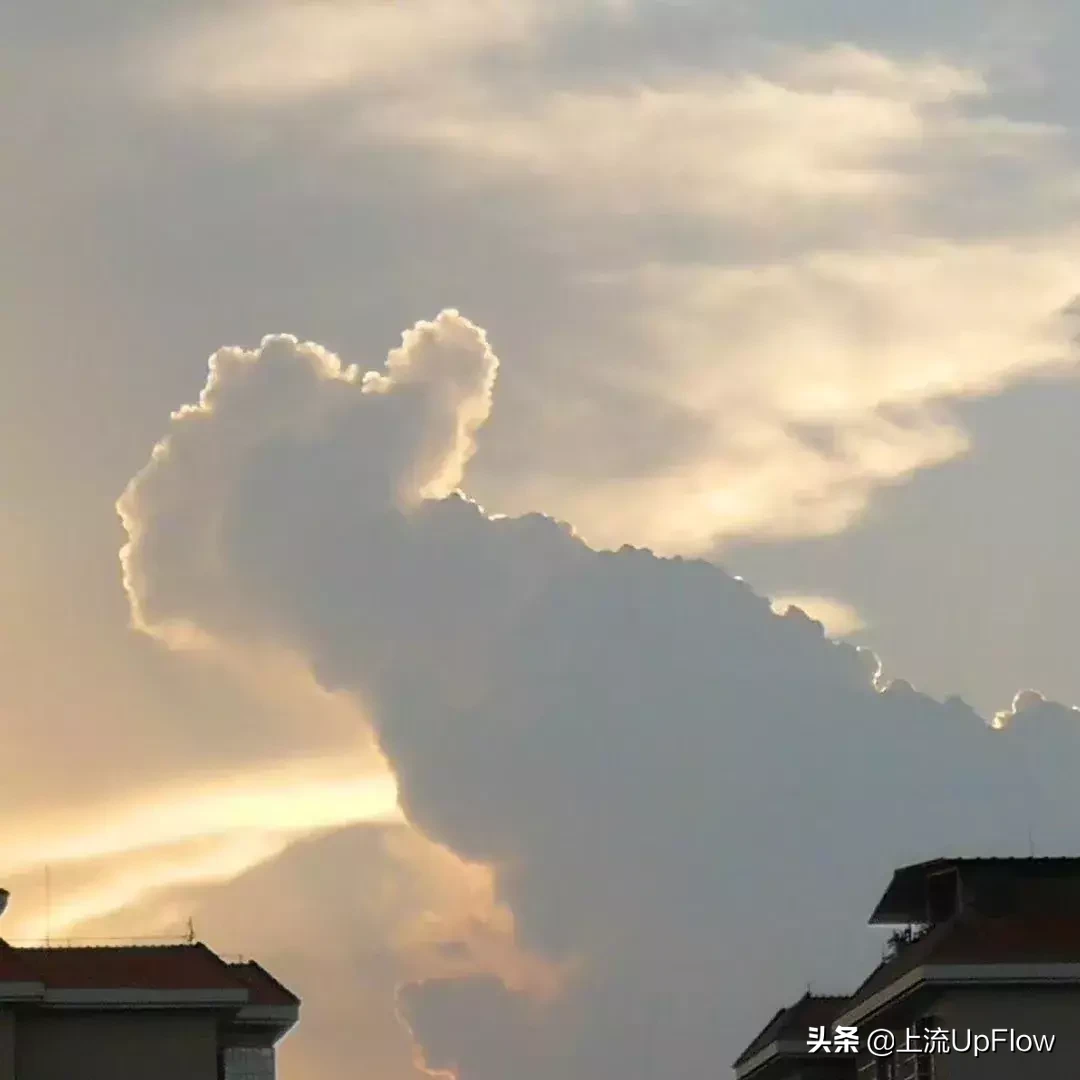 除了高考强，衡水中学还有什么特点