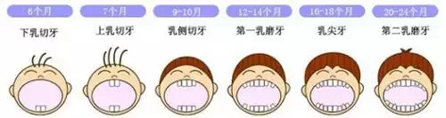 乳牙坏了怕啥?最终这个孩子花了16万,做了下颌骨切除手术!