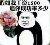 熊猫头表情包：假如我工资1500，追你成功率多少