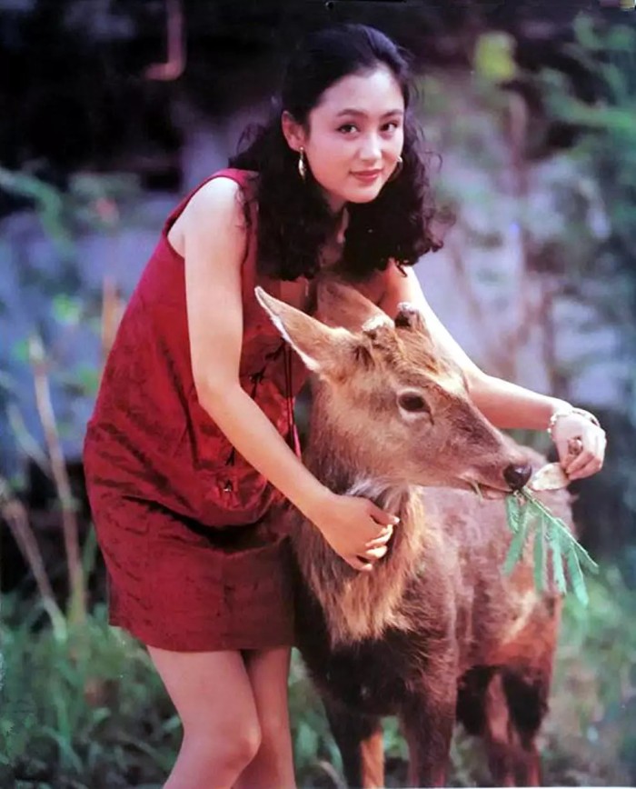 长了一张风情的脸，情史却干净如纸的10位女星，个个旺夫命