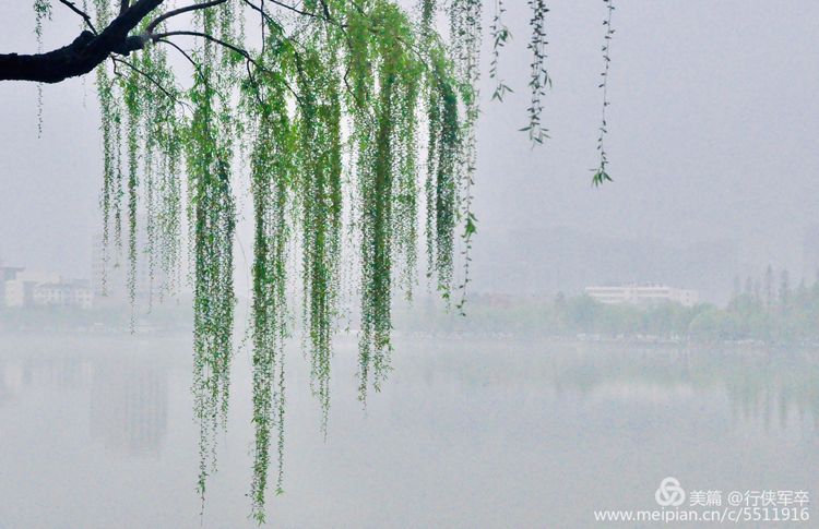 莫愁湖——粉黛江山，留得半湖烟雨；王侯事业，都如一局棋枰