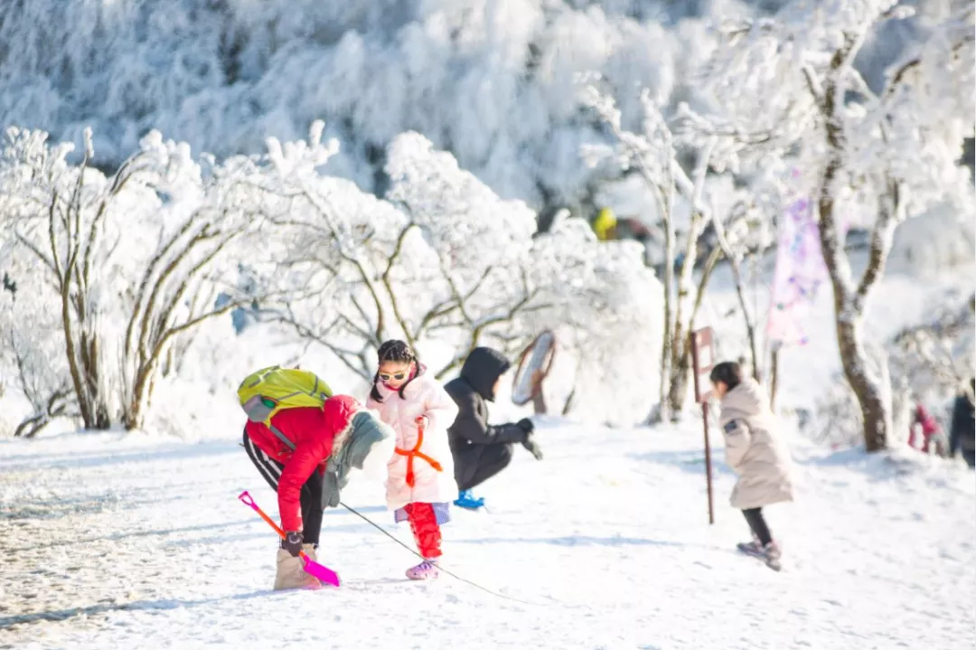 冬雪落下的刹那，金佛山美成了童话！