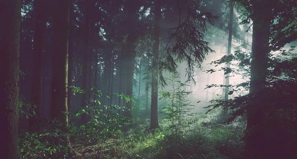 9月跟进：团贷网/玖富/微贷网/爱钱进最新消息，喜忧参半